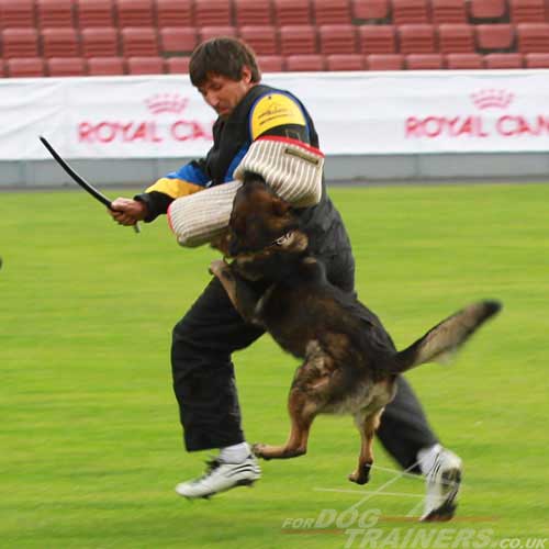 schutzhund dog training suit